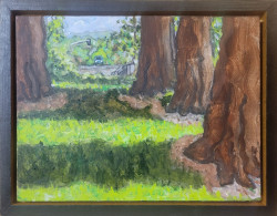 Rose Garden Redwood Morning Rose Garden Redwood Morning - By Joe Junker, Charcoal and Acrylic on Canvas, 12 x 16 inches ( 14 x 18.1 inches framed)