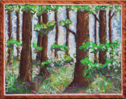 Trees in light Trees in light - By Joe Junker, Oil Pastels on Oil Paint on Canvas, 20 x 16 inches ( 21.2 x 17.2 inches framed)